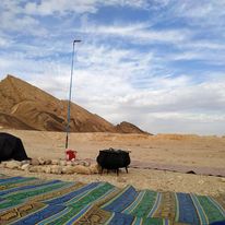 131406151_1291255751246937_7096990471413884993_n