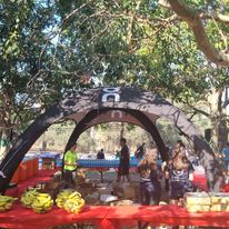 246786517_1501331786905998_1952582959835715457_n