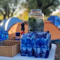 315836494_563462352451791_7769367096680081069_n