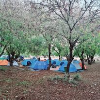 315845520_563462285785131_3281664737170910515_n