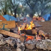 315909694_563462235785136_7047720606041485490_n